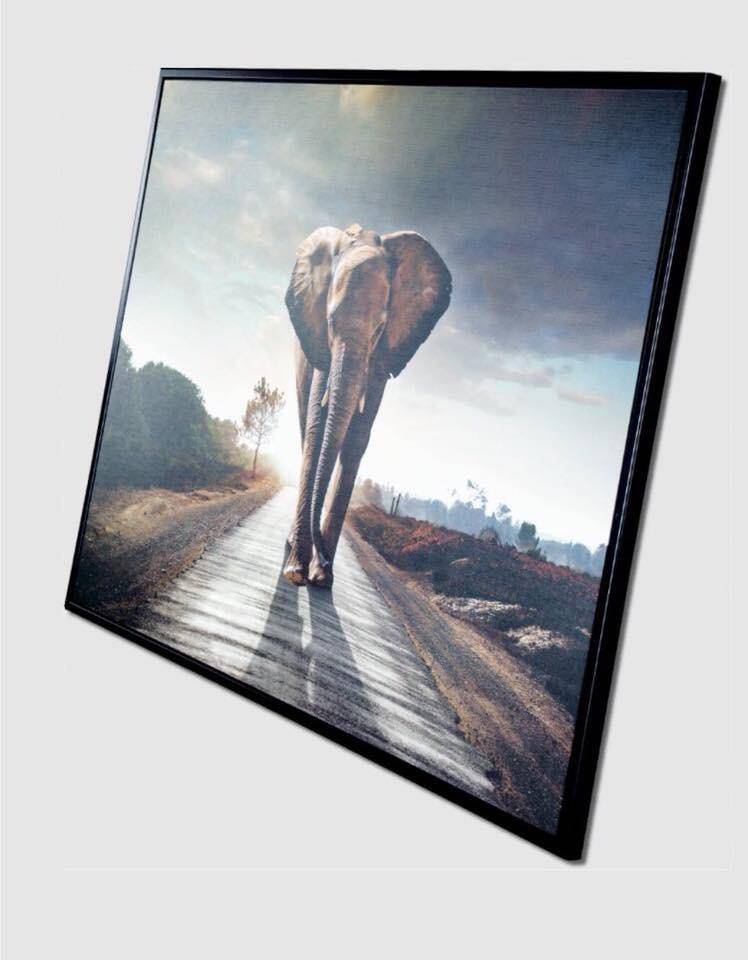 Elephant Framed Art Print 