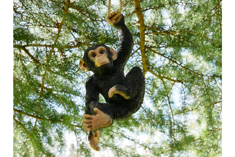 Climbing Monkey - Giftworks