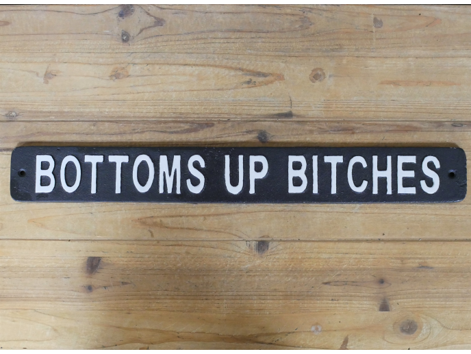 Fun Bar Sign - Bottoms Up Bitches