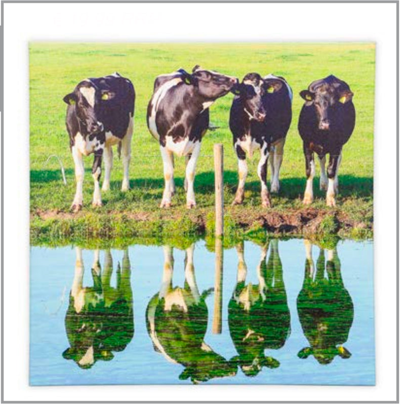 THE GRAND COLLECTION COW CANVAS 80X80CM - Giftworks