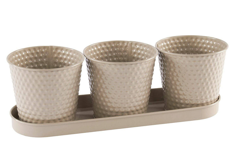 EMBOSSED PLANT 3 HERB POTS TRAY - Giftworks