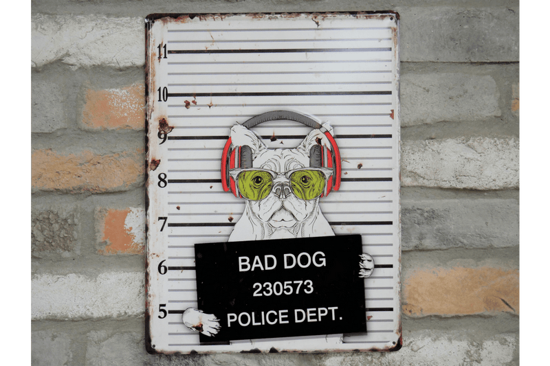 Funny Signs Bad Dog Metal Sign - Giftworks