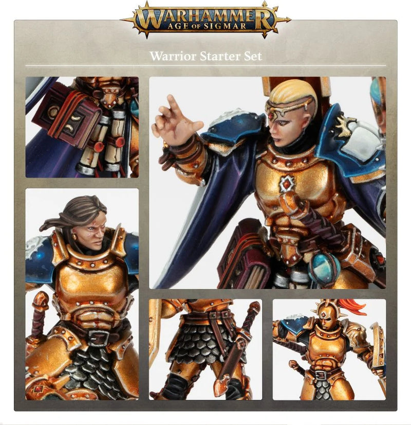 Warhammer Age of Sigmar Warrior