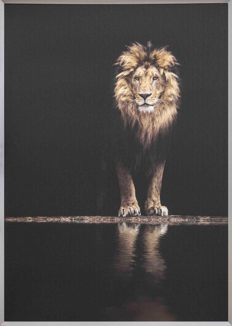 lion canvas art Framed Taira Lion Picture - Giftworks
